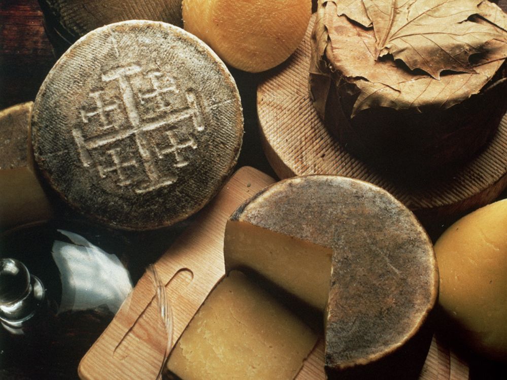 Ganze und aufgeschnittene Käselaibe auf einem Brett kaese