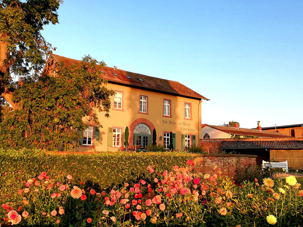 Weingut Dr. Bürlin Wolf