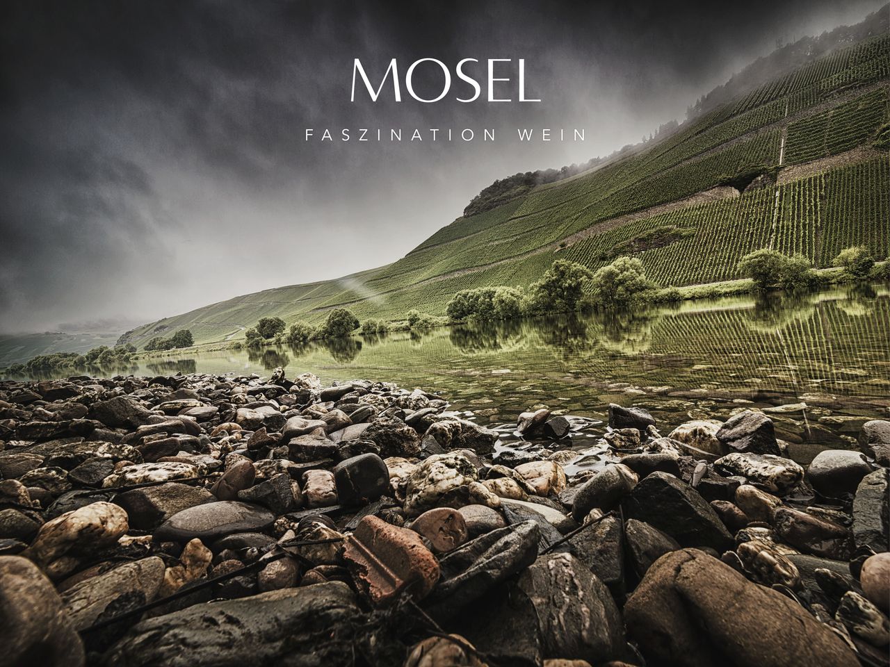 Moselwein Foto mit Logo