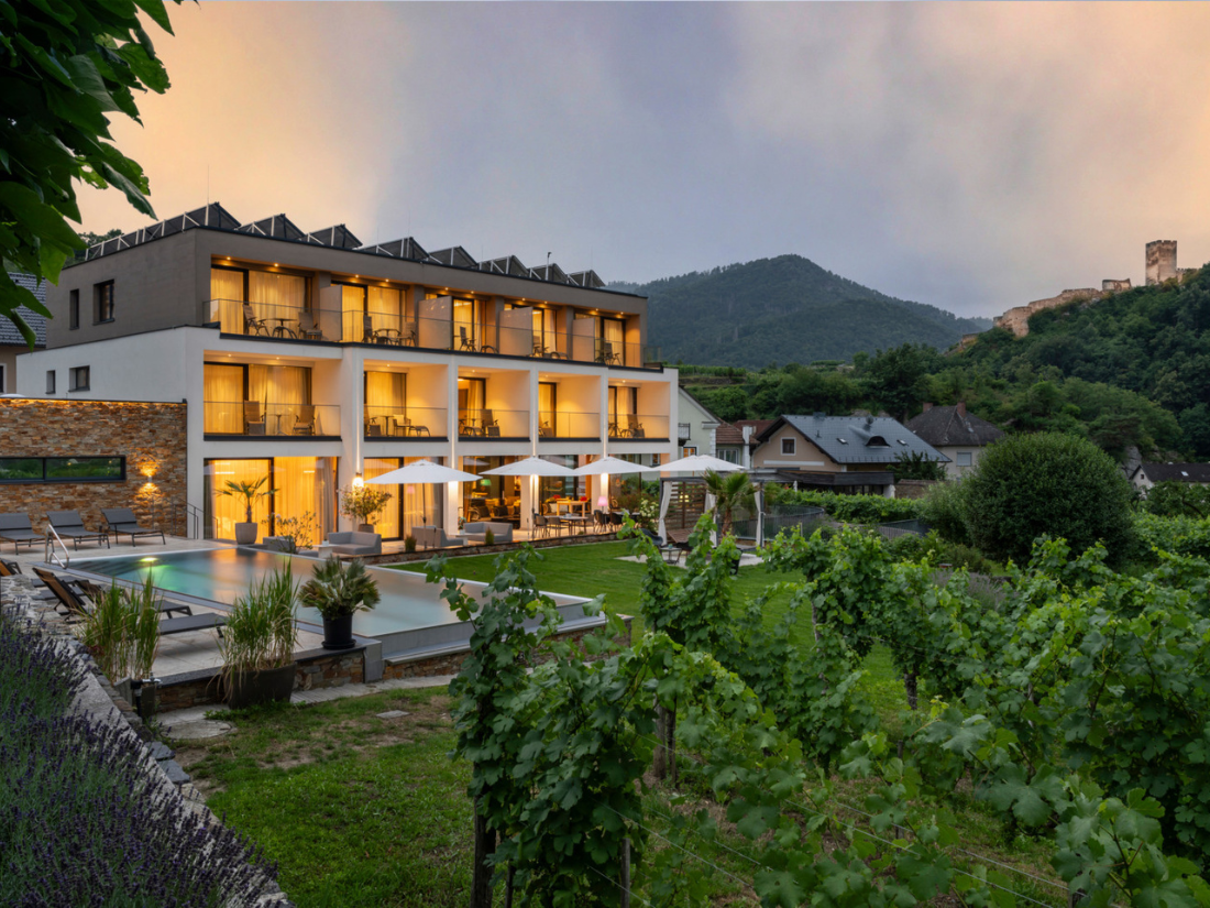 Lafer Wachau (1)