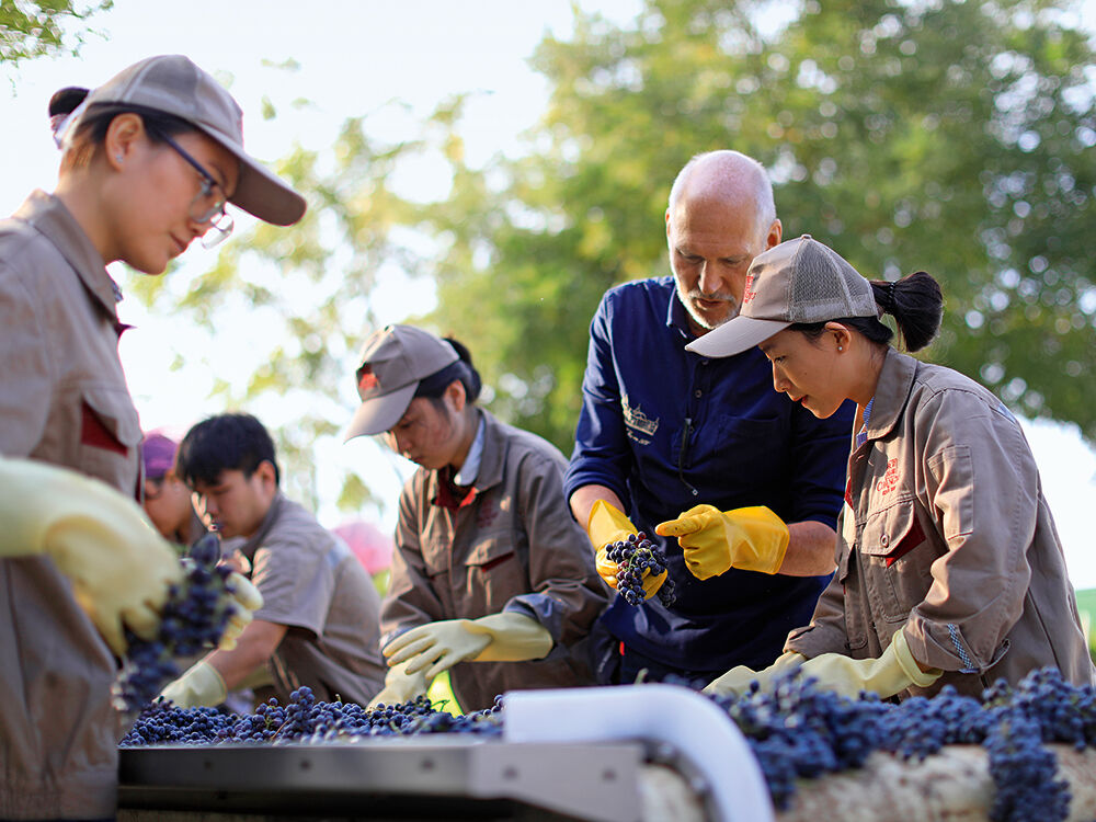 Lenz Moser_Wein_China