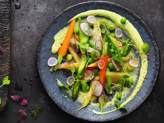 vegetarische Rezepte_Gemuesesalat auf Kressecreme