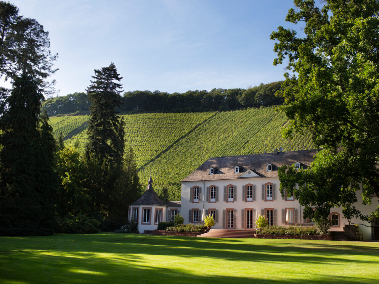 _D3B4243_preview (1)