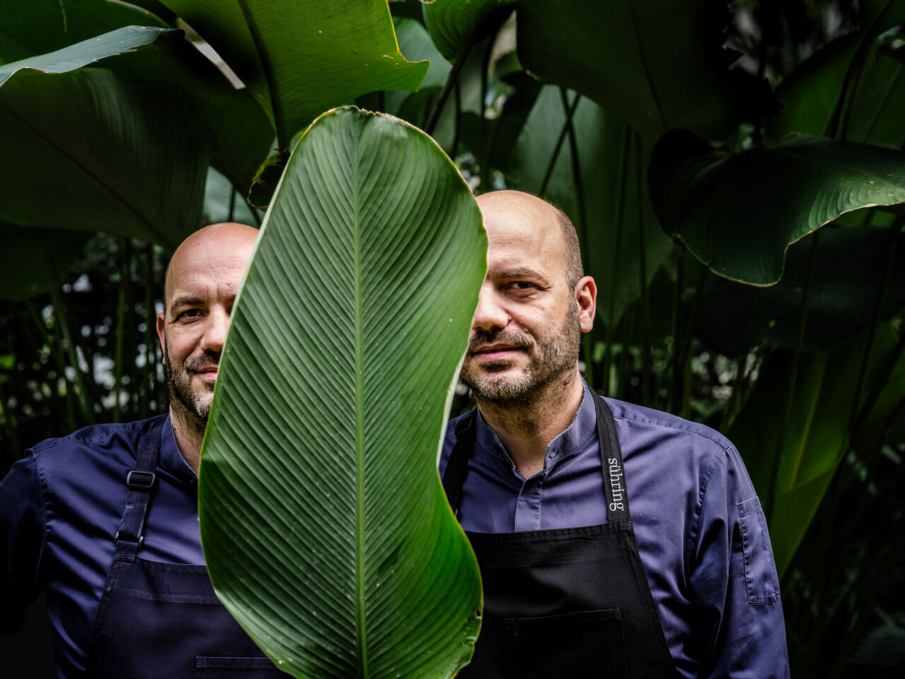 suhring - © Pieter DHoop-3_preview