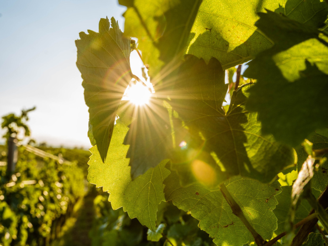 Burgenland