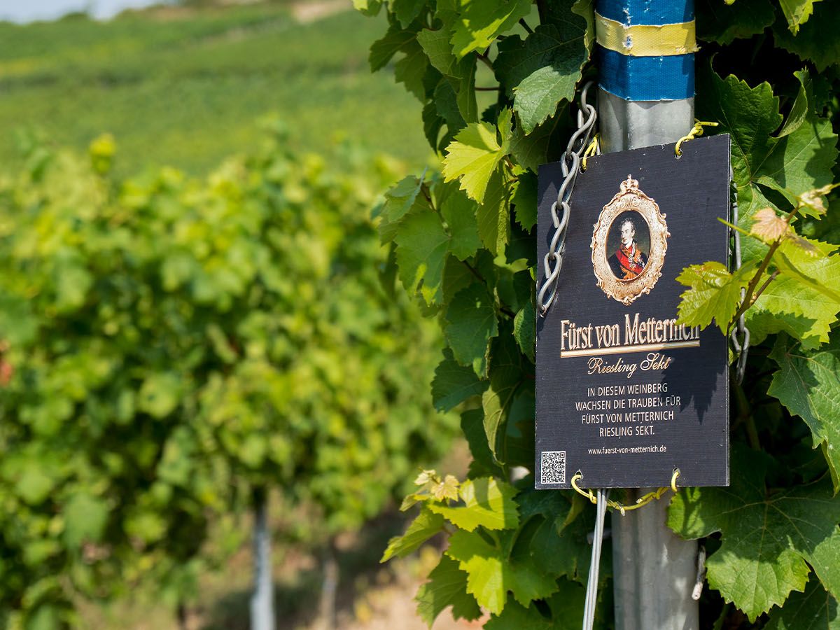 fuerst-von-metternich-sekt fuerst-von-metternich-sekt