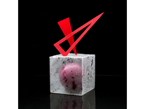 Dinara_Kasko_3-D-Kuchenkunst