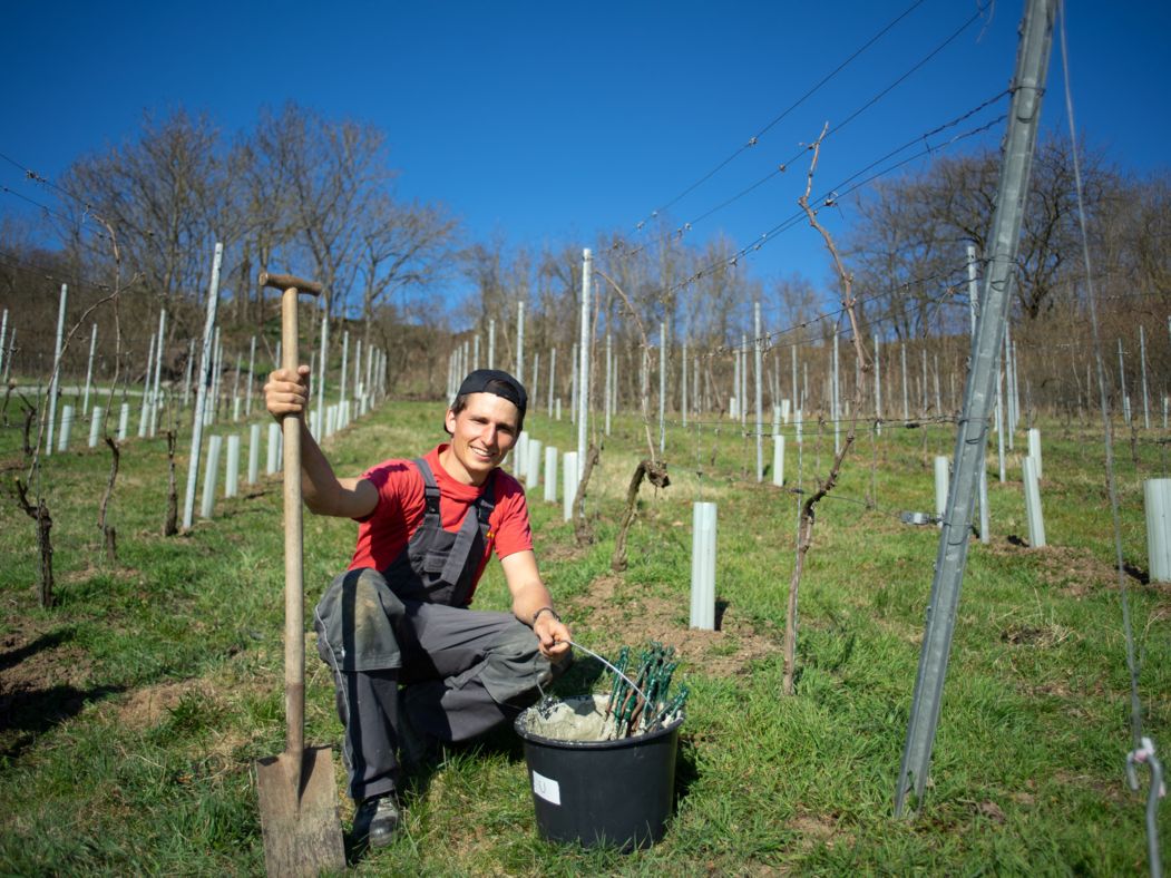 carl-friedrich-walther