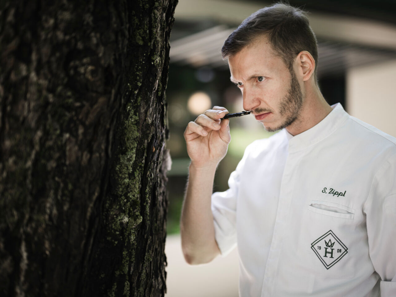 Koch-des-Monats_Stephan-Zippl-2