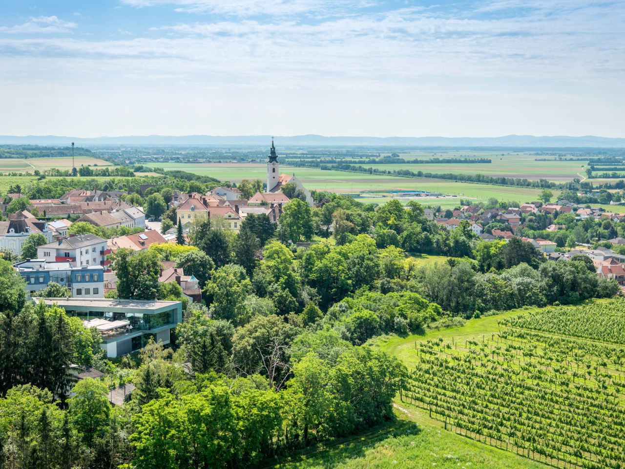 Wagram, Wein