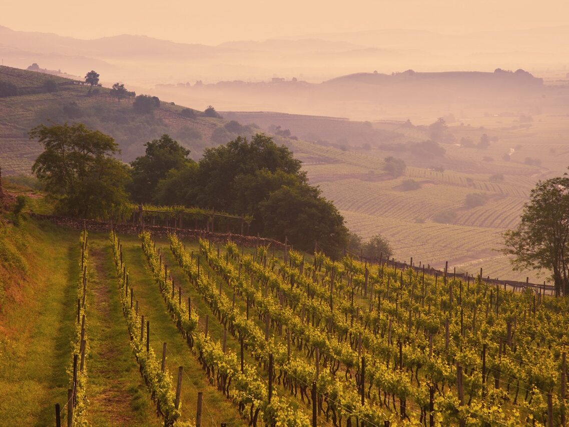 Soave rosato Tramonto)
