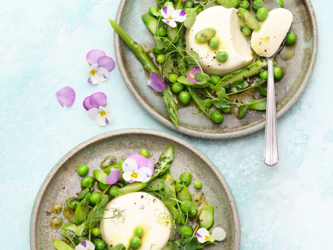 SPARGEL PANNA COTTA