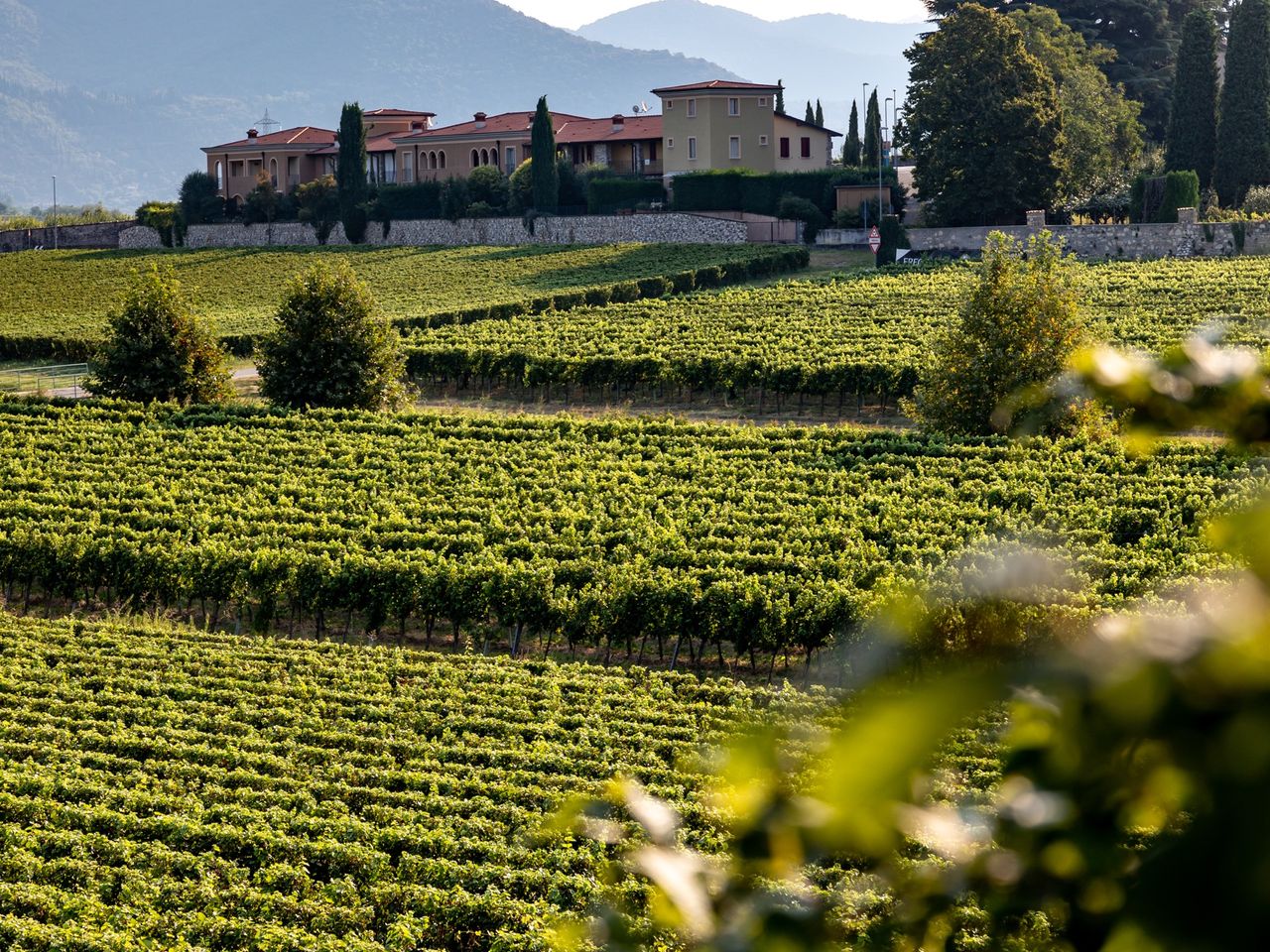 Der Feinschmecker- Franciacorta-Italien-Schaumwein-Jens Priewe_DL_2653