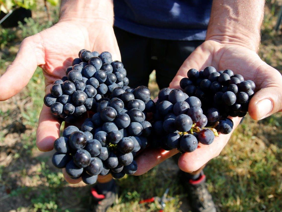 WJW_Lese_2016_0027_preview