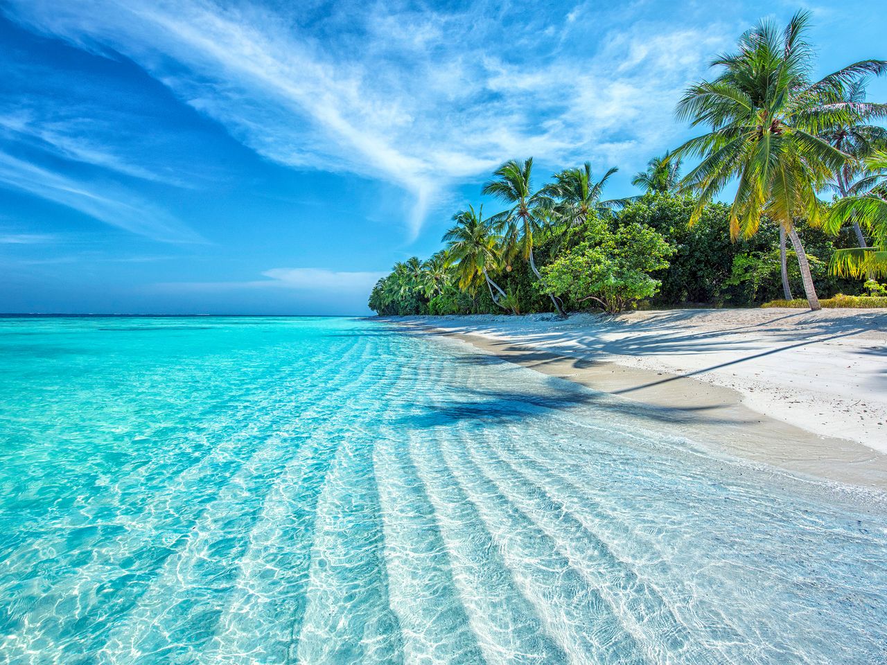Weißer Sandstrand mit Palmen und klarem, türkisfarbenem Wasser unter blauem Himmel