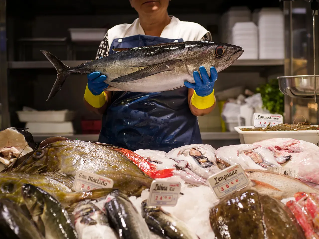 Thunfisch auf einem Fischmarkt in Spanien