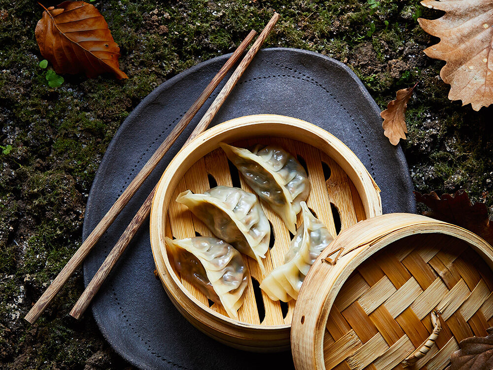 geschmorte-rehschulter-als-dim-sum-viktoria-fuchs