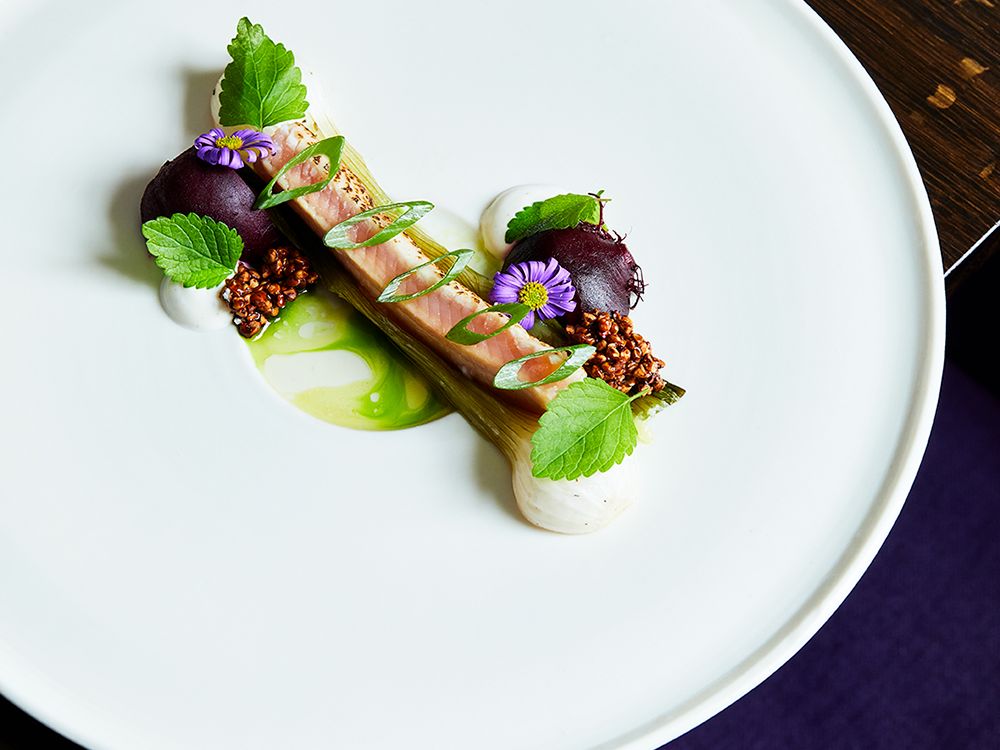 vivi-d-angelo-widmann