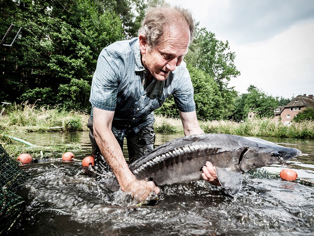 Hermann Benecke züchtet in Jelmstorf Fisch in Bioqualität
hermann-benecke