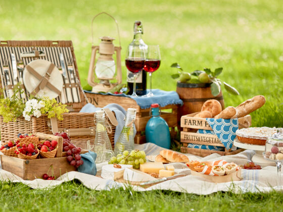 Tipps für ein Picknick mit Stil