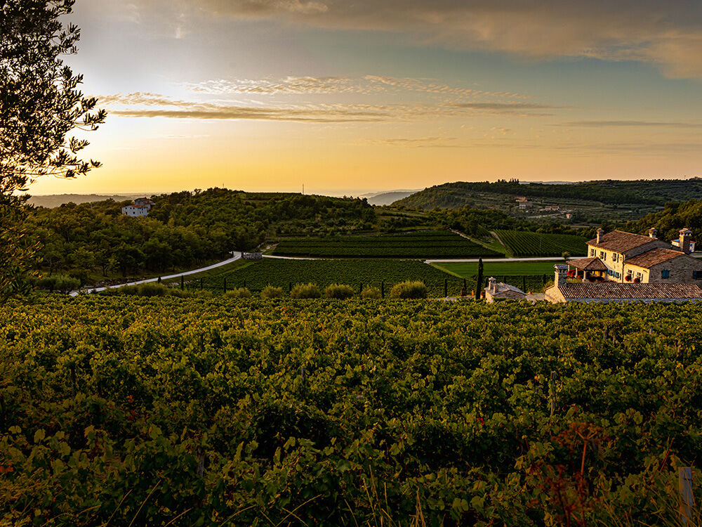 weingut-kabola