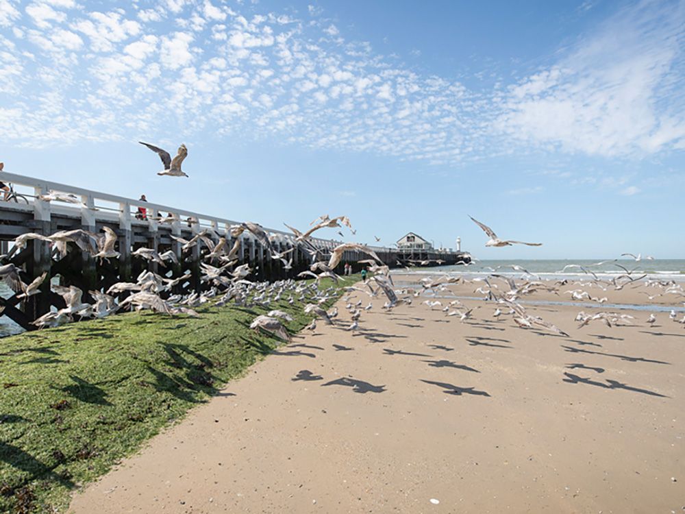 flandern-oosterstaketsel-blankenberge