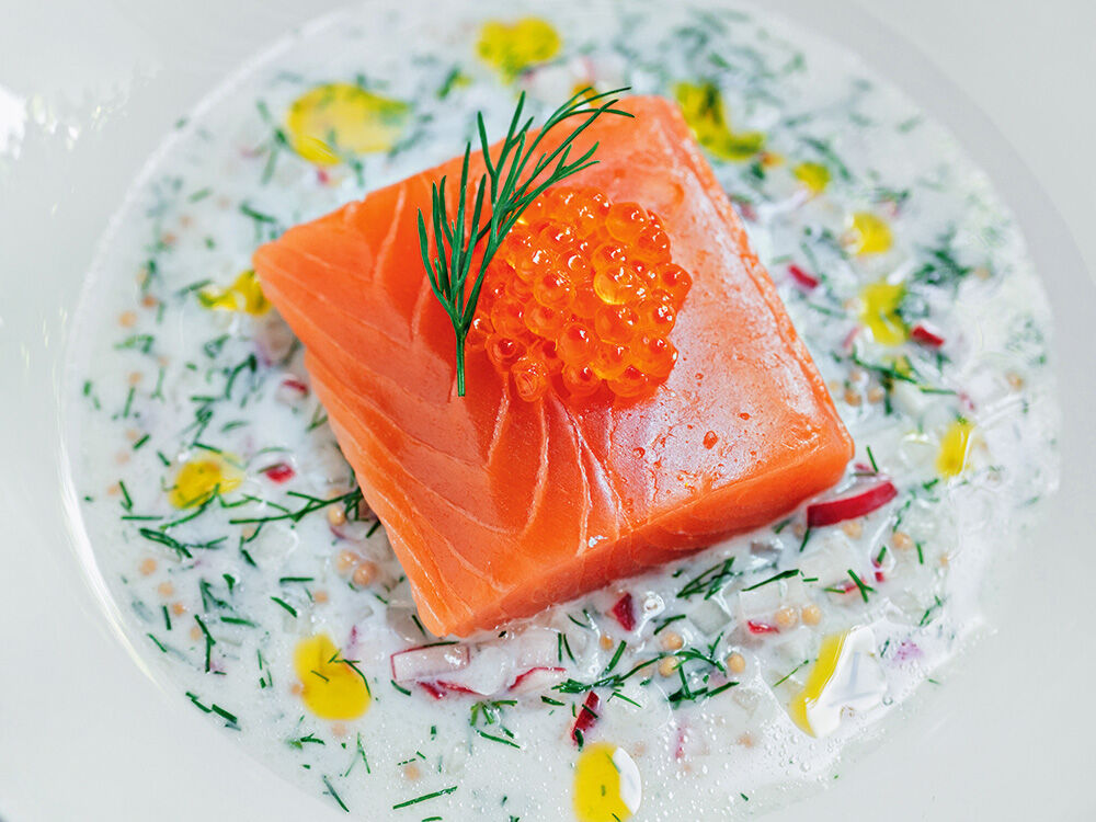 Norweger Lachs, Buttermilch, Dill und Winterrettich