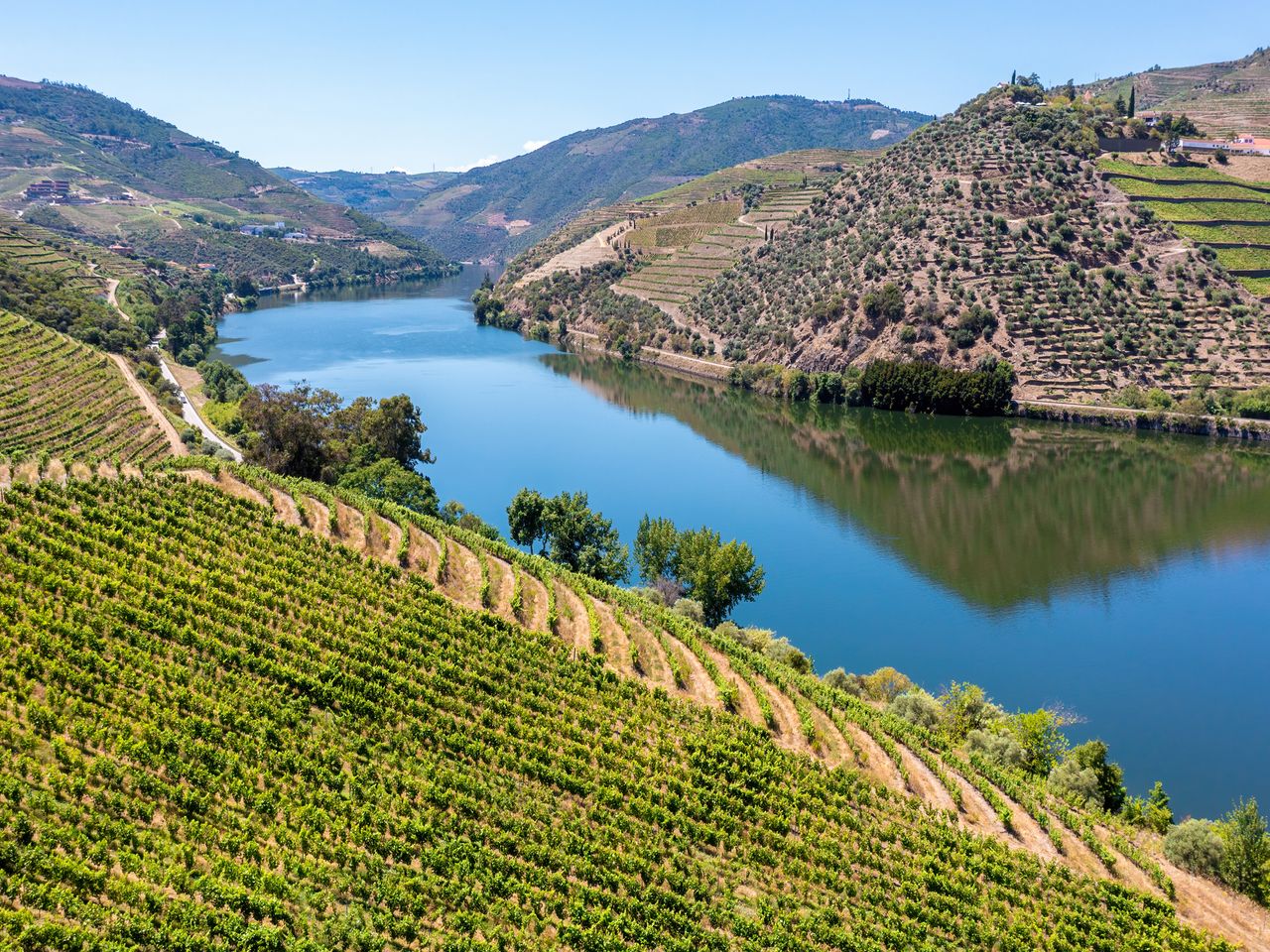 portwein-douro-tal