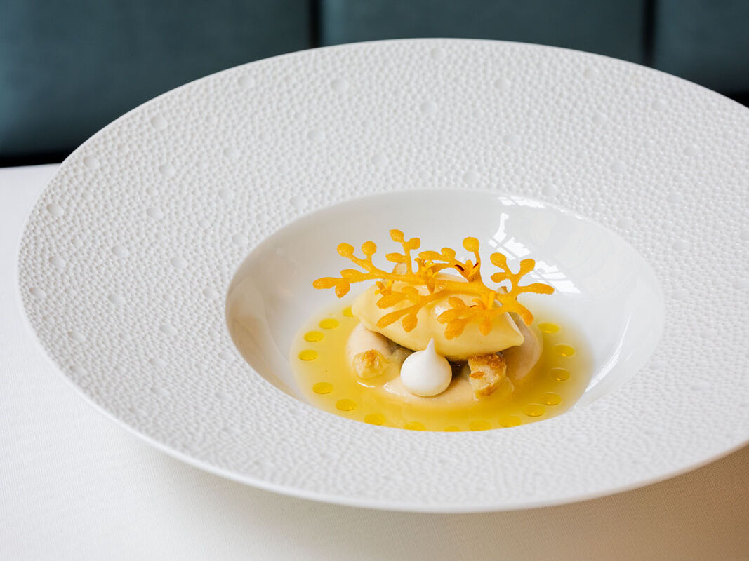 LaSociete-Köln-Leon Hofmockel