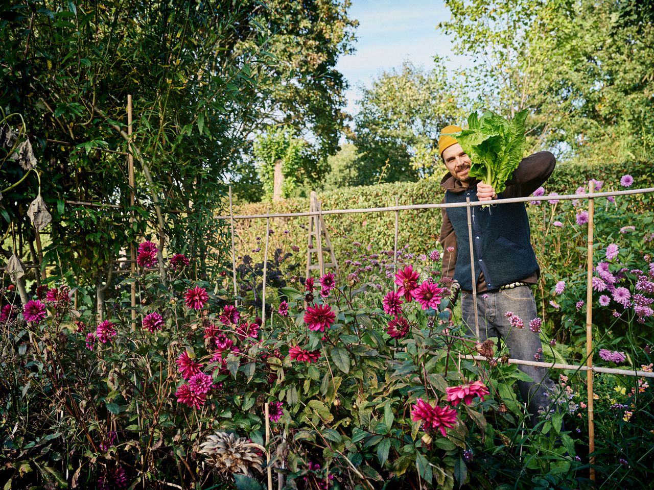 231018-Ernte-Schlossgarten-by-Kölln-28_preview