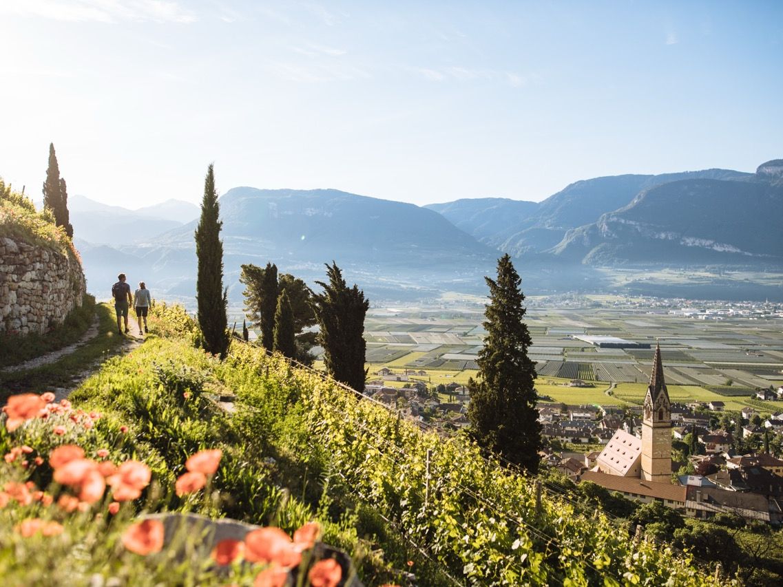 Tramin (c) IDM Südtirol_Benjamin Pfitscher 