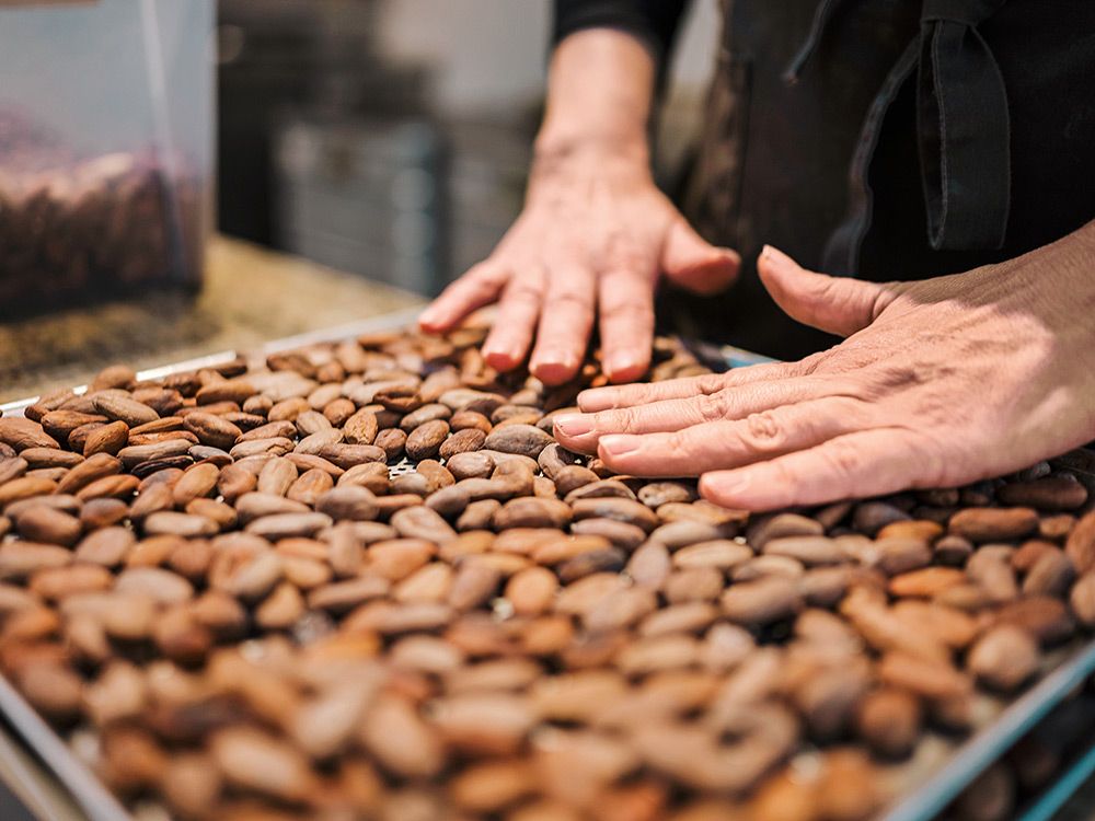 kakaobohne-roesten