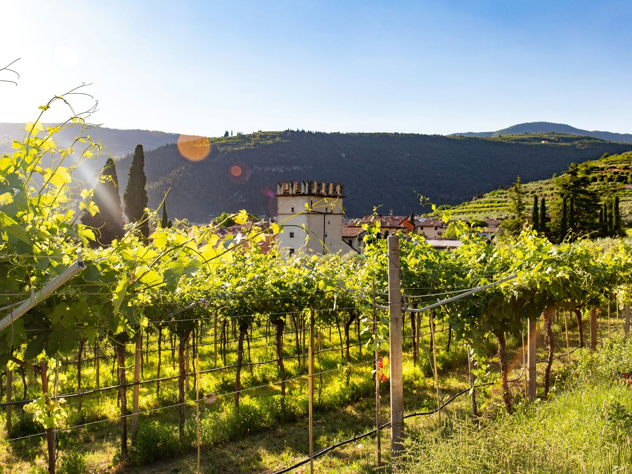 daniel-vogel-YxPkpo8L8Ck-unsplash