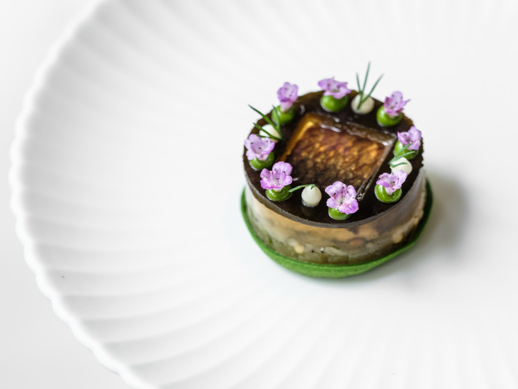 suhring - © Pieter DHoop-5_preview