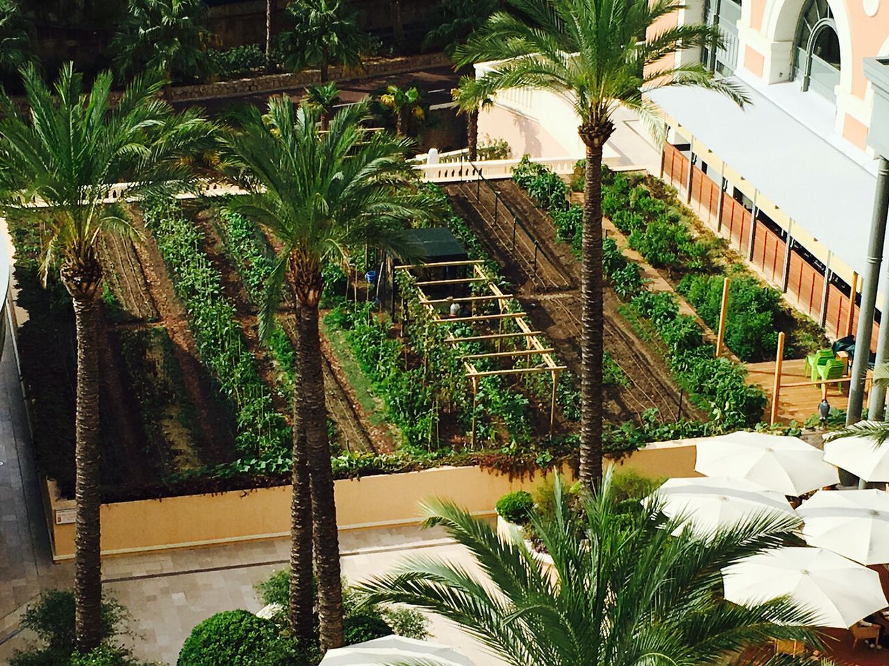 Monte-Carlo Bay-1_preview