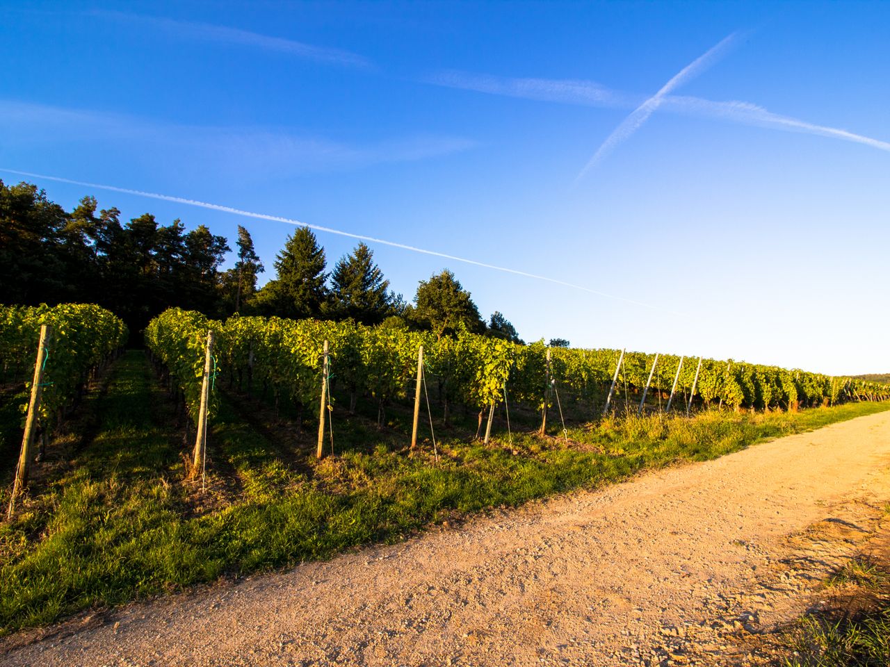 weingut-geitllinger