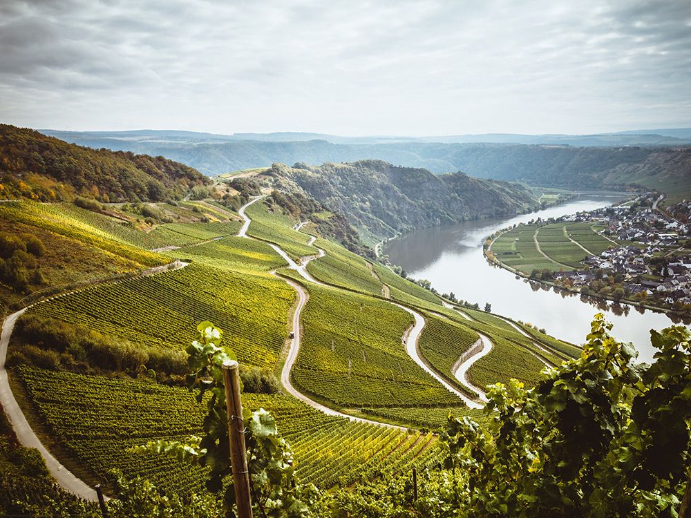 Ausblick auf Bernkastel-Kues von den Lagen Piesporter Goldtröpfchen
und Günterslay.
ausblick-auf-bernkastel-kues-von-den-lagen-piesporter-goldtroepfchen-und-gueunterslay-in-weinregion-mosel