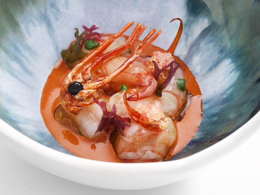 Roca_Toda la gamba_preview