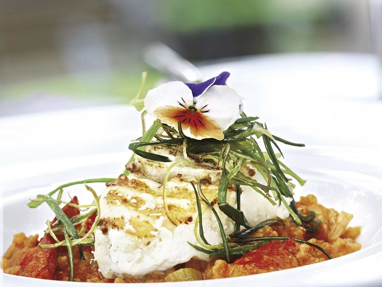 SEETEUFEL MIT KAPERN UND ZITRONEN-Jalag : Bassler, Markus