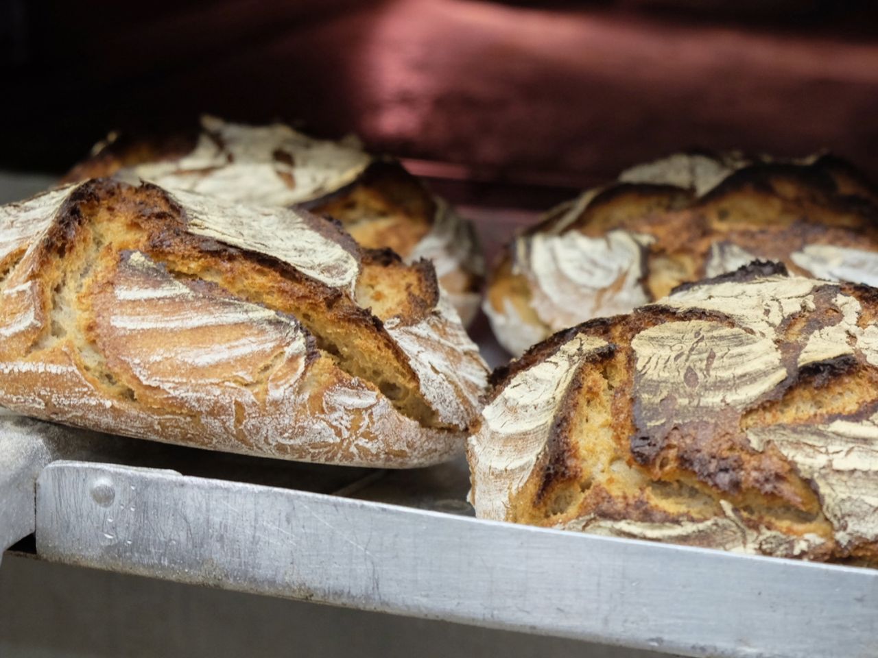 Steinofenbrot kommt aus dem Ofen Lund Sylt Bio