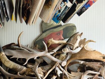 hirschgeweih-sammlung