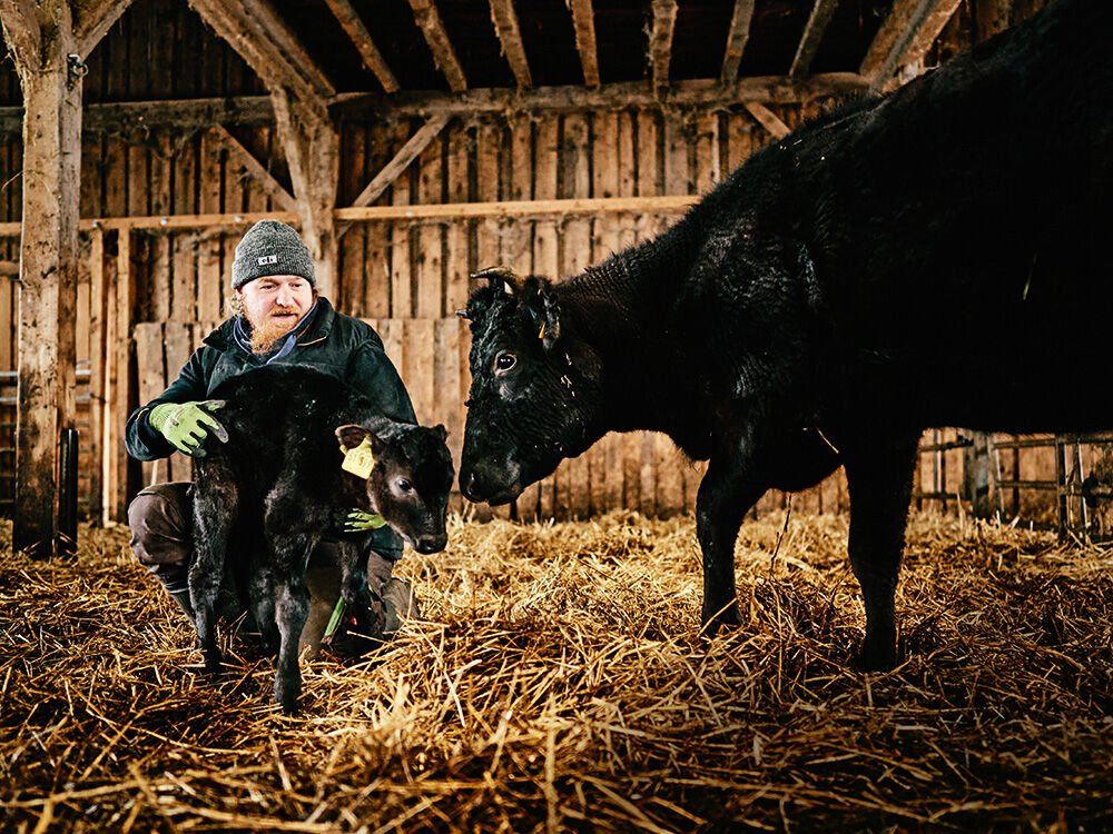 ludwig-maurer-kennt-seine-tiere-von-geburt-an