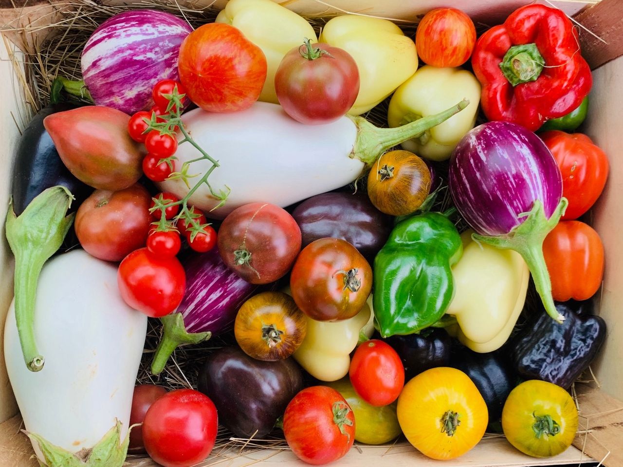 Légumes_preview