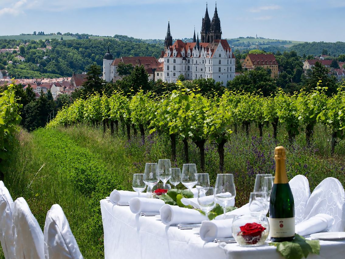 Proschwitzer Weinbergtafel_quer_mit Burg_preview