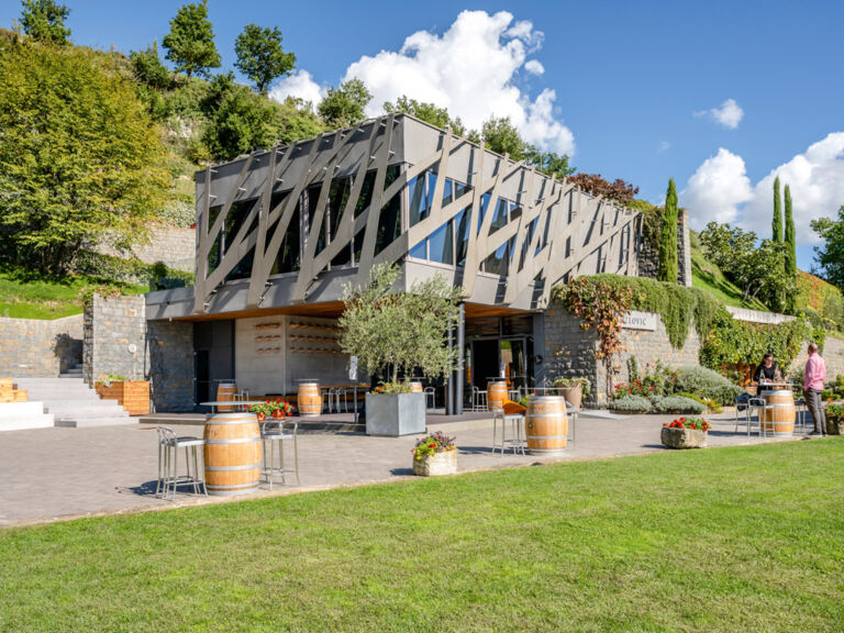 kulinarik-in-istrien-auf-dem-weingut-kozlovic