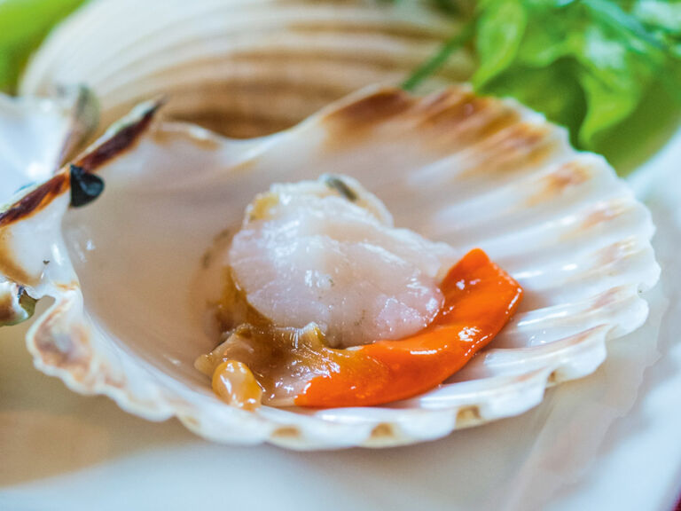 jakobsmuscheln-im-restaurant-buscina-in-istrien