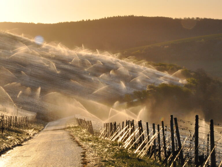 Frostschutzberegnung Weinbau