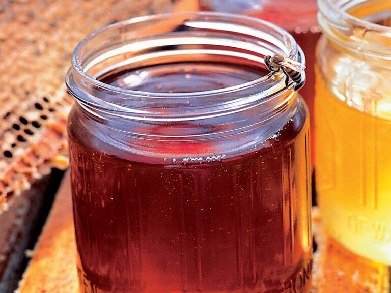 Biene am Honigglas