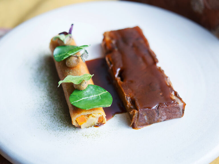 short-rib-cannelloni-vom-schmorgemuese-hanfsaat-mangold-arne-anker