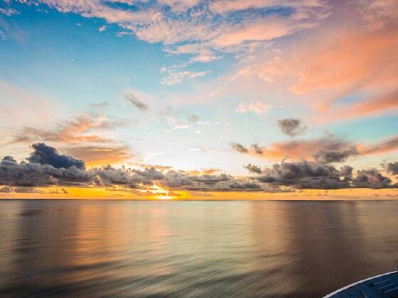 Hapag Lloyd_Newsletter